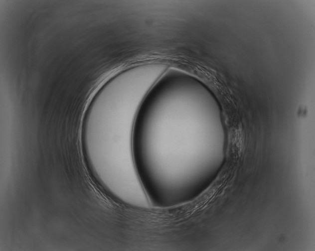 X0000097800148200803140744