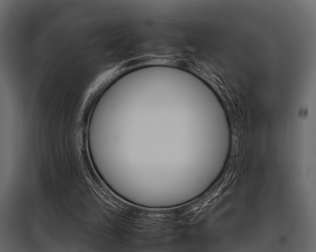 X0000097800149200803140744