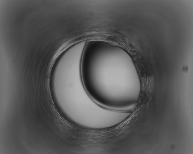 X0000097800150200803140744
