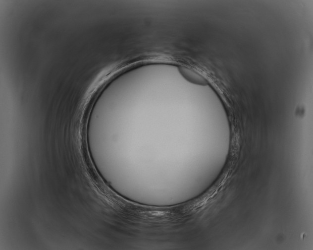 X0000097800151200803140744