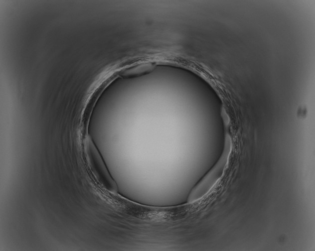 X0000097800152200803140744