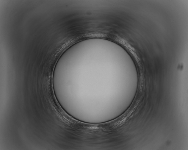 X0000097800153200803140744