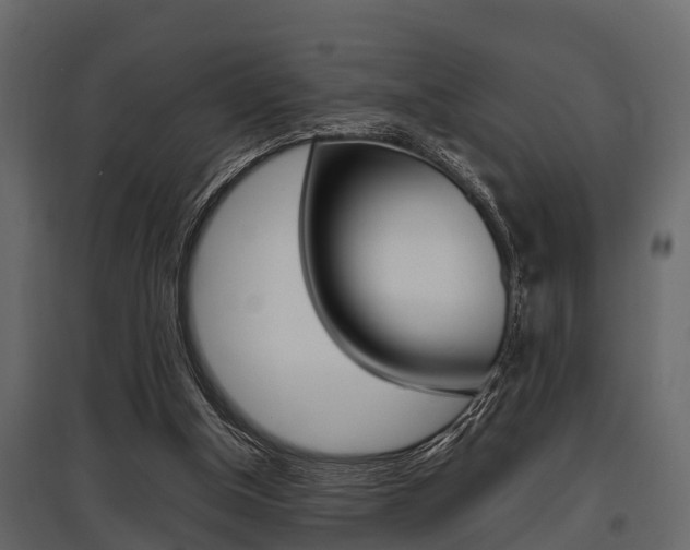 X0000097800154200803140744
