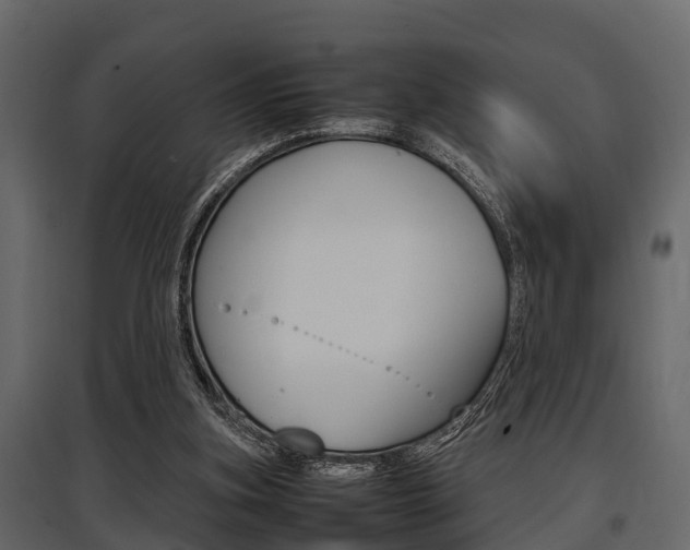 X0000097800155200803140744
