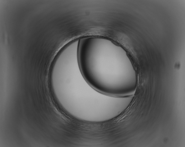 X0000097800156200803140744