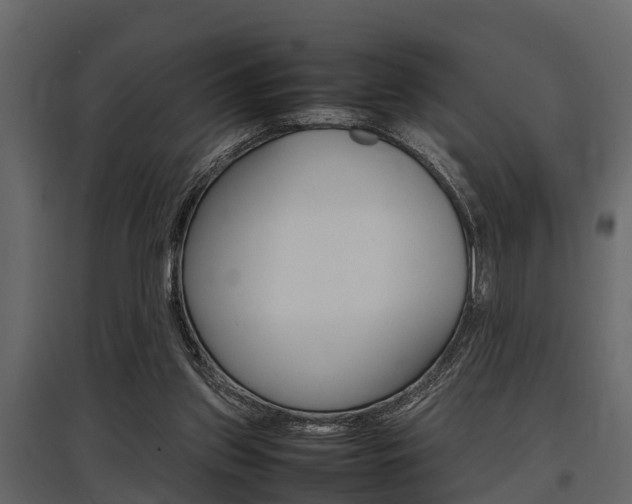 X0000097800157200803140744