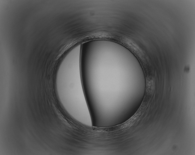 X0000097800158200803140744