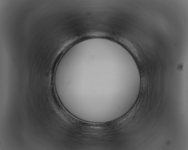 X0000097800159200803140744