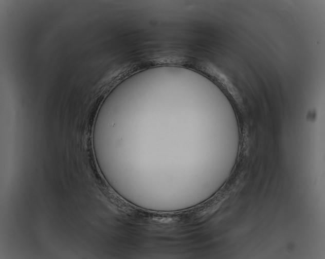 X0000097800161200803140744