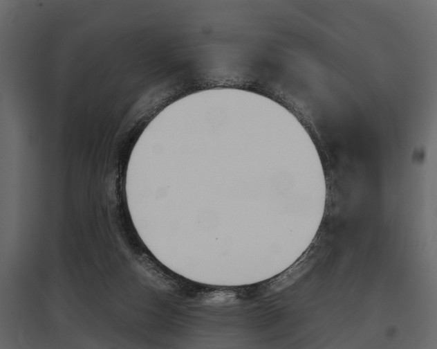 X0000097800162200803140744