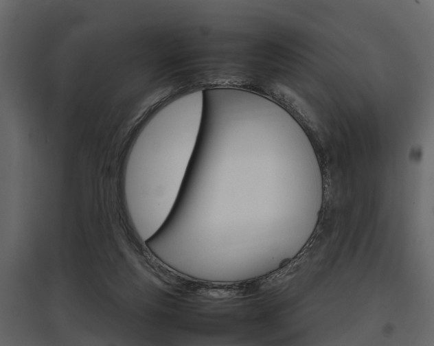X0000097800163200803140744