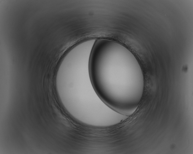 X0000097800164200803140744