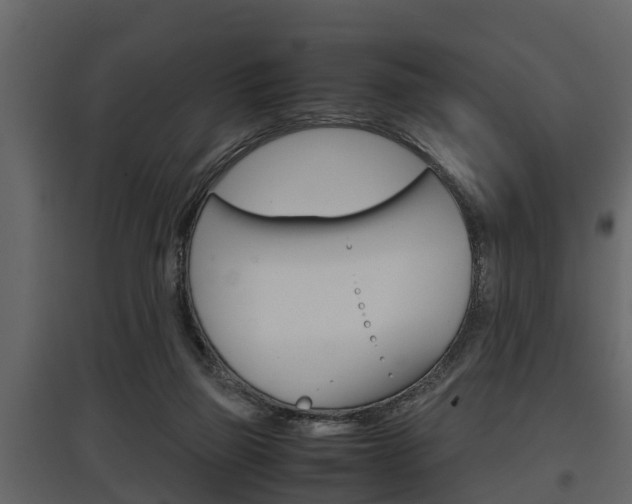 X0000097800165200803140744