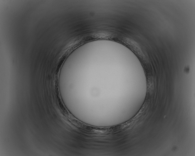 X0000097800167200803140744