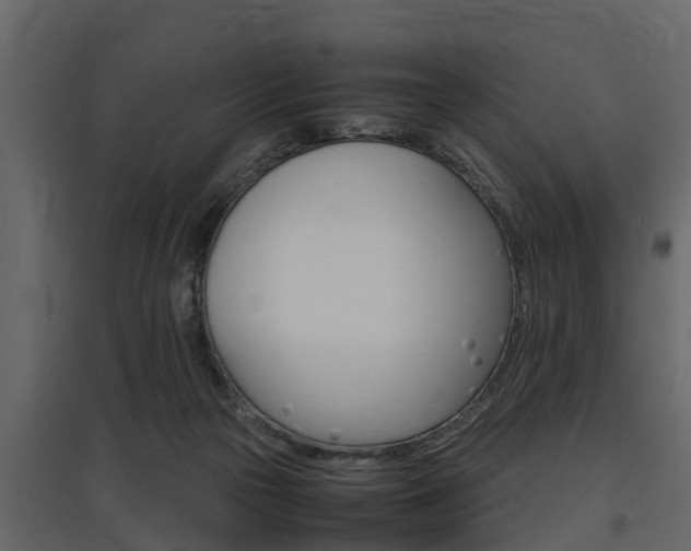 X0000097800169200803140744