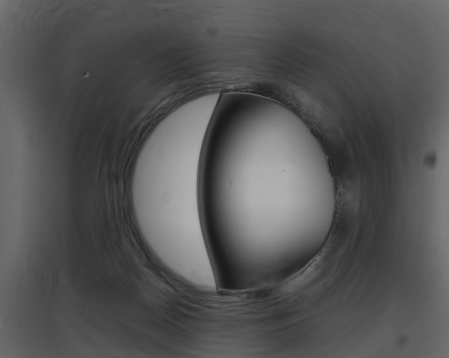X0000097800170200803140744