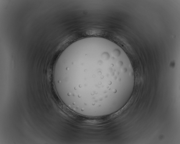 X0000097800171200803140744