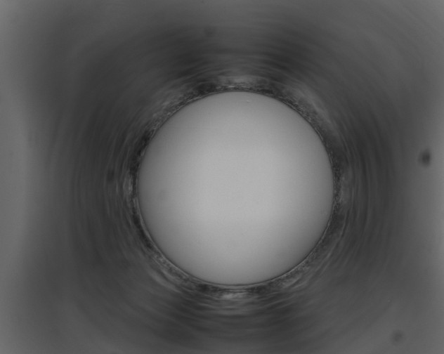 X0000097800173200803140744