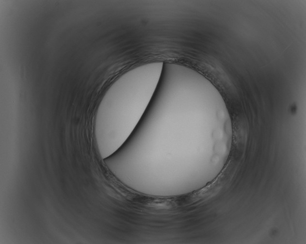 X0000097800175200803140744