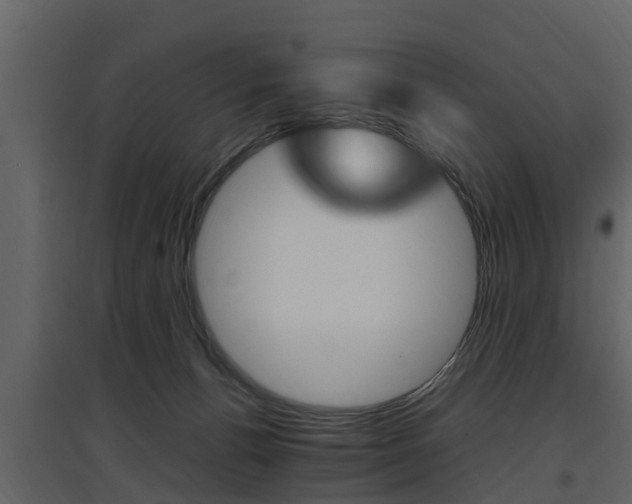 X0000097800176200803140744