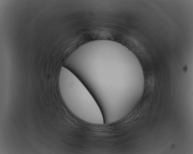 X0000097800177200803140744
