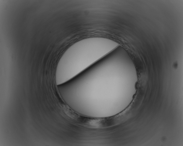 X0000097800178200803140744