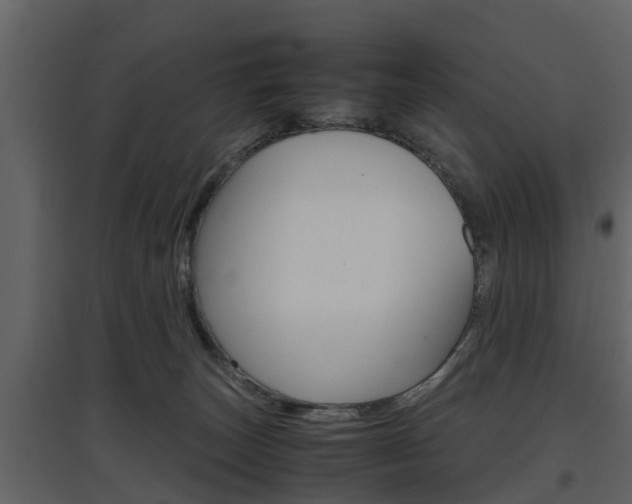 X0000097800179200803140744