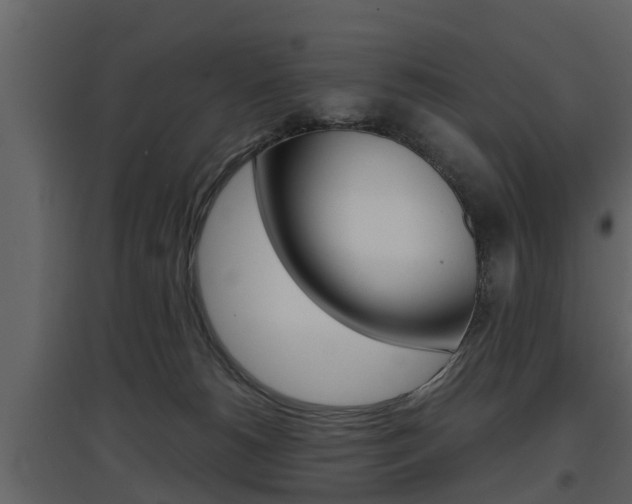 X0000097800180200803140744