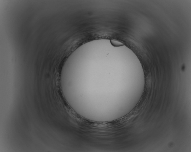 X0000097800181200803140744