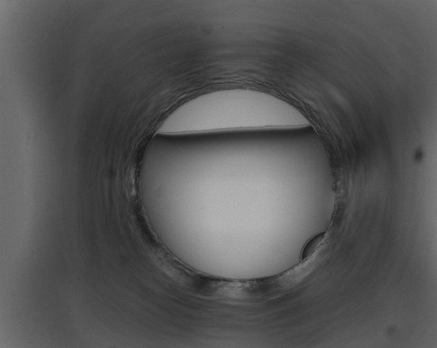 X0000097800182200803140744