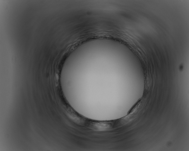 X0000097800183200803140744