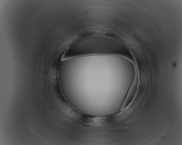 X0000097800184200803140744