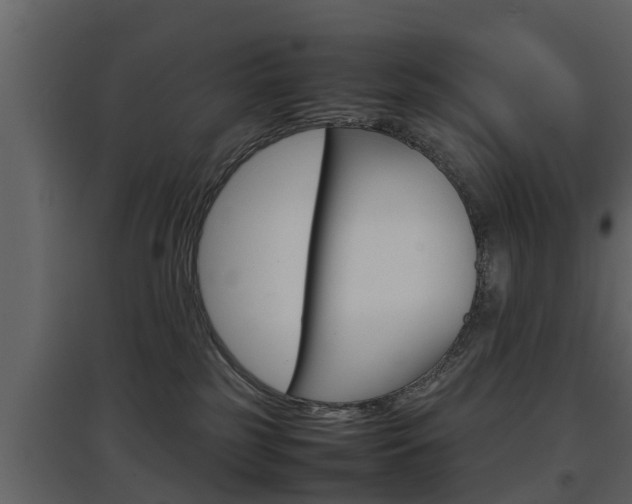 X0000097800185200803140744