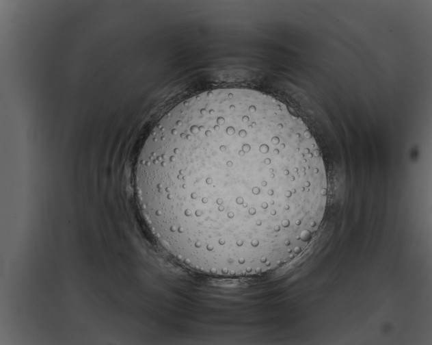 X0000097800187200803140744