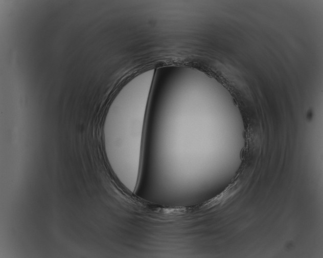 X0000097800188200803140744