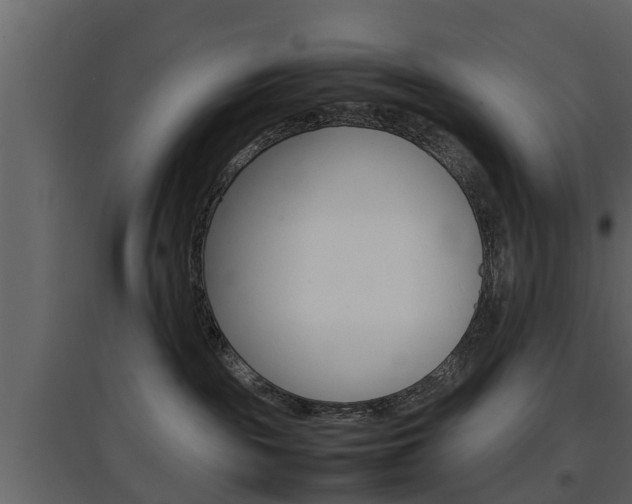 X0000097800189200803140744