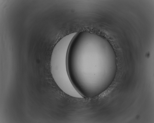 X0000097800192200803140744
