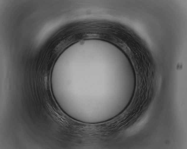 X0000097800194200803140744