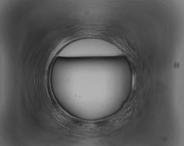 X0000097800195200803140744