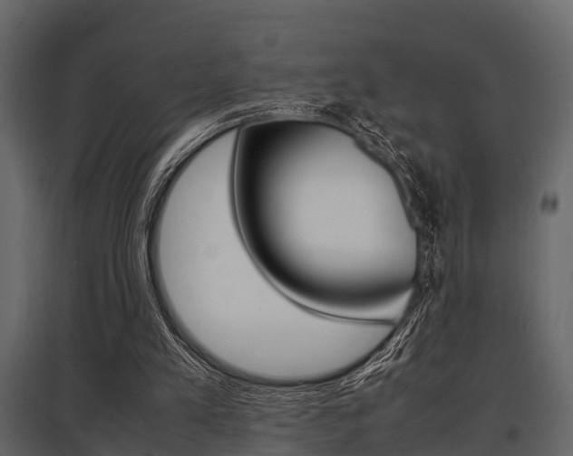X0000097800197200803140744