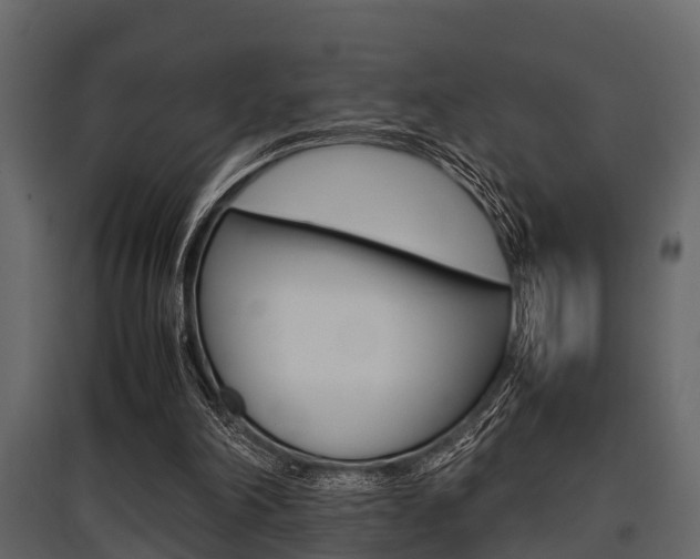 X0000097800198200803140744