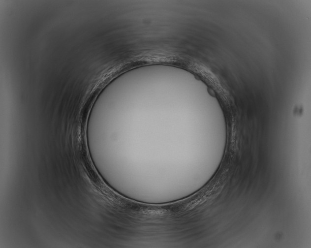 X0000097800202200803140744