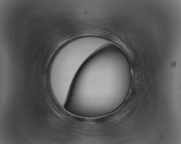 X0000097800203200803140744