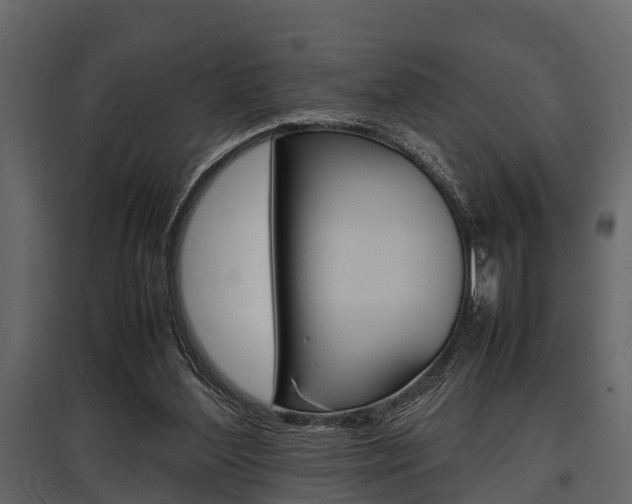 X0000097800204200803140744