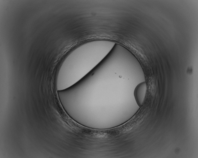 X0000097800206200803140744