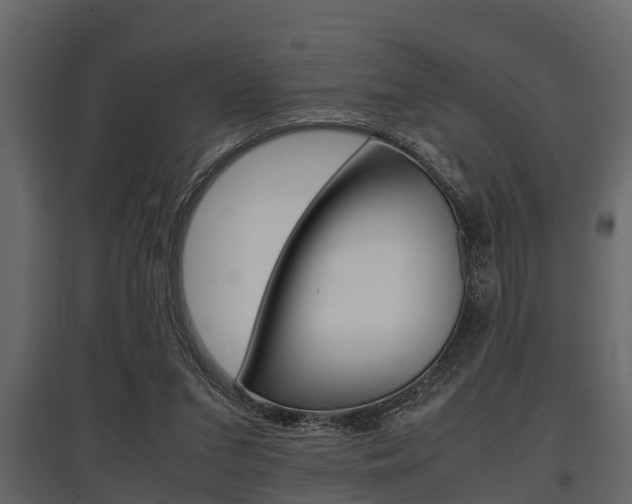 X0000097800207200803140744