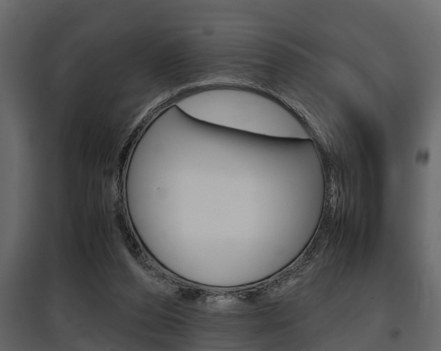 X0000097800208200803140744