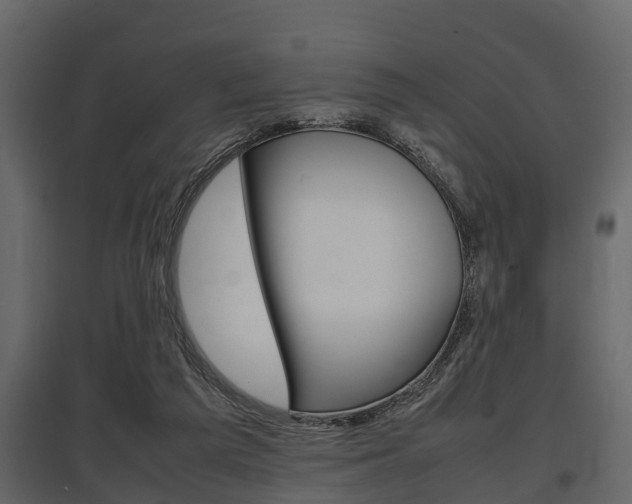 X0000097800209200803140744