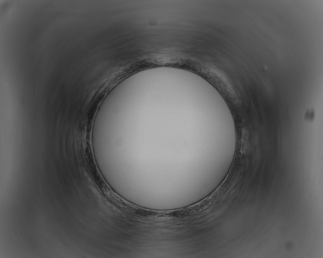 X0000097800210200803140744