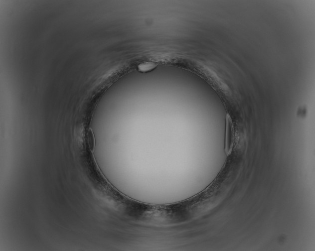 X0000097800211200803140744